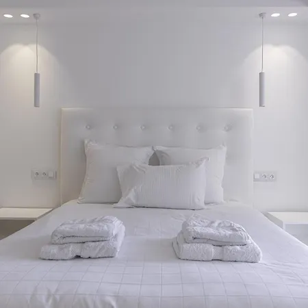 Luxury Penthouse Montfleury By Halldis